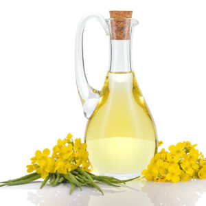 huile de colza vrac bio