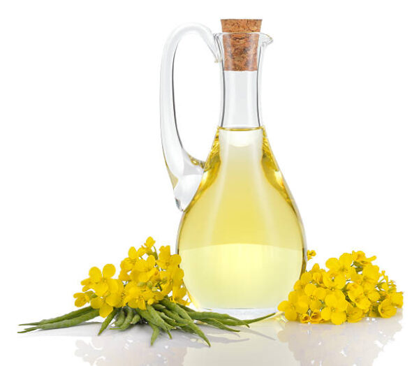 huile de colza vrac bio