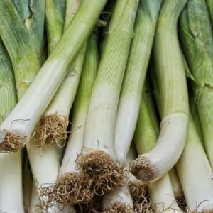lot de poireau vrac bio