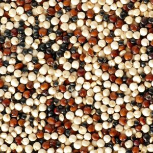 quinoa multicolore vrac bio
