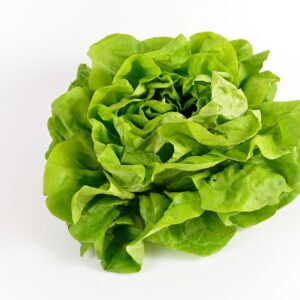salade laitue verte produit vrac bio